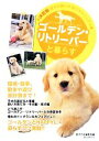 【中古】 ゴールデン・リトリーバーと暮らす 決定版 愛犬の飼い方・育て方マニュアル/愛犬の友編集部【編】