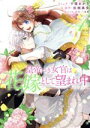  皇帝つき女官は花嫁として望まれ中(4) ゼロサムC／千種あかり(著者),佐槻奏多(原作),一花夜(キャラクター原案)