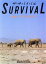 【中古】 ザ・サバイバル　動物生き残りの知恵／フランツ・ガイザー(著者),ハンス・D・ドッセンバッハ(著者)