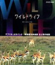 （ドキュメンタリー）,中村幸代（音楽）販売会社/発売会社：（株）NHKエンタープライズ発売年月日：2013/04/26JAN：4988066193088東アフリカのセレンゲティ平原は、肉食獣が獲物を狙うバトルフィールド。追う者と追われる者の命のドラマが日々繰り返されている。　雨季が始まる11月、草食動物が緑豊かな大地に集まる。中でも、ヌーとシマウマ、トムソンガゼルは飛び抜けて数が多い。体が小さいトムソンガゼルは全ての大型肉食動物から狙われながらも、繁栄しつづけている。彼らは群れの目で敵をいち早く察知して危険を避け、もし敵に追い込まれても巧みなステップでかわすのだ。この華麗なクイックターンはチーターさえ振り切ることができる。また、シマウマは後ろ蹴りでライオンを打ち負かし、ヌーは巨大な群れで行動することで敵に狙いをしぼらせない。肉食動物との攻防を追われる側の視点で見つめ、知られざるサバンナの素顔を浮き彫りにする。