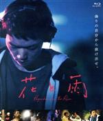 【中古】 花と雨（Blu－ray　Disc）／笠松将,大西礼芳,岡本智礼,土屋貴史（監督、脚本）