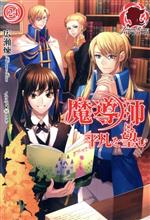 【中古】 魔導師は平凡を望む(24) アリアンローズ／広瀬煉(著者),11