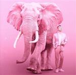 【中古】 pink ELEPHANT／米倉利紀
