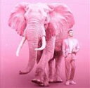 【中古】 pink　ELEPHANT／米倉利紀