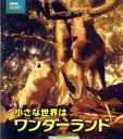 【中古】 小さな世界はワンダーランド TVオリジナル完全版(Blu−ray Disc)/(ドキュメンタリー),ベン・フォスター(音楽)