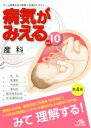 【中古】 病気がみえる 産科 第4版(vol．10)／医療情報科学研究所【編】