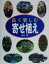 【中古】 長く楽しむ寄せ植え/神田隆(著者) 220円