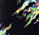 【中古】 Black Foliage/Ficus