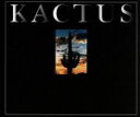  19才／KACTUS