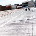 Artist Name: Sa Line - 【中古】 Tune　Up　Holiday／HOOLIGANZ