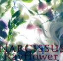 【中古】 Narcissus／Rayflower