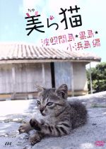 【中古】 美ら猫　波照間島・黒島・小浜島編／（趣味／教養）,古城望（ナレーション）