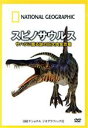 【中古】 ナショナル　ジオグラフィック　スピノサウルス　サハラに眠る謎の巨大肉食恐竜／ドキュメント・バラエティ