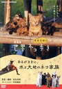【中古】 劇場版岩合光昭の世界ネコ歩き あるがままに、水と大地のネコ家族/(ドキュメンタリー),岩合光昭(監督、撮影),高野正樹(音楽)