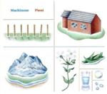 Machinone販売会社/発売会社：Flau(（株）ブリッジ)発売年月日：2018/11/07JAN：4582237840957ある作家のエッセイから着想を得た“小さい、小さな”という意味を持つ、Machinone4年ぶりのセカンド・アルバム。東西の西側を描いた1stアルバム同様に、ガット・ギター、クラリネット、バンジョー、リード・オルガンなど様々な楽器を使って、幼き頃の景色や感情、冒険と寂寥の記憶達を散らばった欠片を拾うように、慈しみながら丁寧に作り上げたパーソナルな作品集。　（C）RS