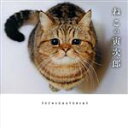 【中古】 ねこの寅次郎/torachanthecat(著者)
