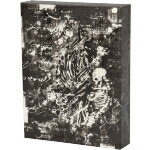 【中古】 B：The　Beginning　Blu－ray　Box　COLLECTOR’S　EDITION（特装限定版）（Blu－ray　Disc）／中澤一登（原作、監督、キャラクターデザイン、総作画監督）,Production　I．G（原作