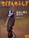 【中古】 月刊たくさんのふしぎ(11 2017年11月号) 月刊誌／福音館書店(編者)