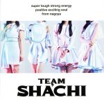 【中古】 TEAM　SHACHI（positive　exciting　soul盤