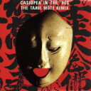 【中古】 イン・ザ・ナインティーズ〜ザ・タビ・モテ・リミックス/CASIOPEA
