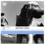 【中古】 スピリチュアル・ヴァイブス／スピリチュアル・ヴァイブス