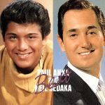 【中古】 ベスト／ポール・アンカ＆ニール・セダカ