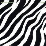 【中古】 VINTAGE／南佳孝