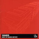 【中古】 BEST OF WANDS HISTORY／WANDS