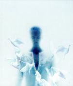 【中古】 奇蹟／米倉利紀