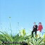 【中古】 ジャンスマ・ポップ〜シングル集〜/Jungle Smile 【中古】afb 1,089円