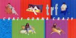 【中古】 【8cm】CRAZY　GONNA　CRAZY／TRF