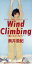 【中古】 Wind Climbing〜風にあそばれて〜/奥井亜紀 【中古】afb 762円