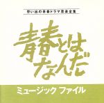 【中古】 青春とはなんだミュージックファイル　思い出の青春ドラマ音楽全集／（オリジナル・サウンドトラック）