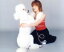 【中古】 抱きしめたい/Jungle Smile 【中古】afb 330円