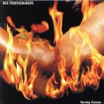 【中古】 Burning　Hammer（限定盤）／SEX　MACHINEGUNS