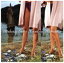 【中古】 Careless Memories/斎藤誠 1,936円