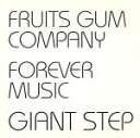 【中古】 FRUITS　GUM　COMPANY／FOREVER　MUSIC／ジァイアントステップ