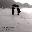 THE　BEATNIKS販売会社/発売会社：アゲント・コンシピオ発売年月日：2001/08/04JAN：4518295800046