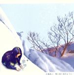 【中古】 雪に咲く花のように ／川嶋あい