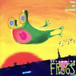 【中古】 ザ フロッグス アット ビューティフル サンセット／The Screaming Frogs