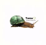 【中古】 Great Pleasure／Tama