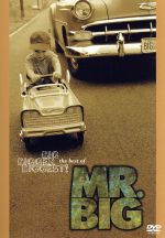 【中古】 グレイテスト・ビデオ・ヒッツ／MR.BIG