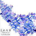 【中古】 忘れな草/COOLON