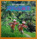 【中古】 バリの伝統美 萩野矢慶記写真集/萩野矢慶記(著者),武居郁子(編者)