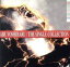 【中古】 THE SINGLE COLLECTION/阿部義晴(ユニコーン) 2,970円