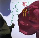 【中古】 花‐365日　いちごいちえ 秋山庄太郎写真集／秋山庄太郎【著】