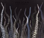 【中古】 シティ・オブ・エコーズ（DVD付）／ペリカン