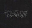 【中古】 The　Best　of　Dragon　Ash　with　Changes　Vol．1／Dragon　Ash