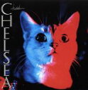 【中古】 CHELSEA／浅井健一