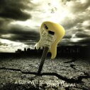 【中古】 A SURVIVED SCARCROW／田川伸治